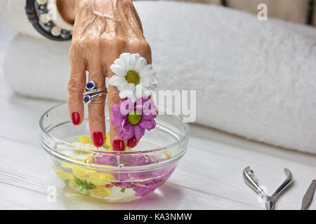 Soin spa pour femmes. senior woman main bien entretenu avec deux couleurs chrysanthème dans bol en verre avec de l'eau. se détendre et de womans le traitement. Banque D'Images
