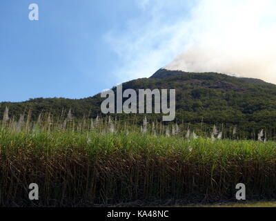 Un feu de broussailles plateau au-dessus de champs de canne à sucre en Australie tropicale Banque D'Images