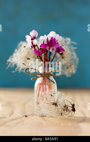 Un bouquet de fleurs de cyclamen et caucasienne mandchou clematis dans une bouteille en verre sur un fond bleu. faible profondeur de champ Banque D'Images