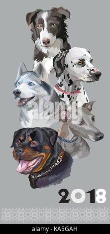 Carte postale verticale avec des chiens de races différentes (border collie rottweiler ; ; ; de lévier italien, dalmatien Husky Sibérien)sur fond gris. L'année 2018 Illustration de Vecteur