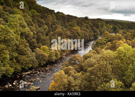 Lambley viaduc traversant la rivière South Tyne dans le Northumberland / Le Sentier South Tyne Banque D'Images