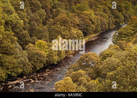 Lambley viaduc traversant la rivière South Tyne dans le Northumberland / Le Sentier South Tyne Banque D'Images