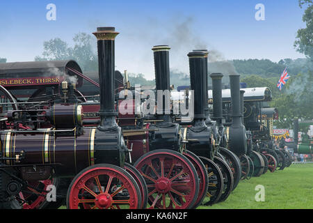 Grands moteurs de traction à vapeur vintage au Harewood Steam Rally, West Yorkshire, Angleterre, Royaume-Uni. Banque D'Images
