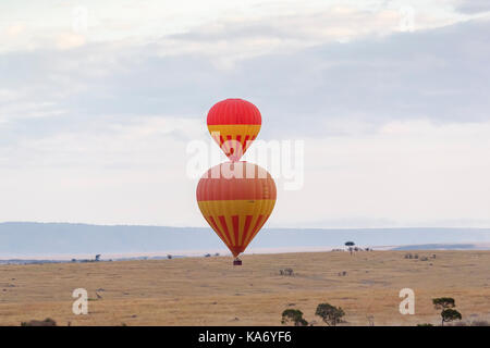 Le visionnement de jeu safari de faune : l'orange et le jaune des montgolfières se lever sur la savane en début de matinée, Masai Mara, Kenya Banque D'Images