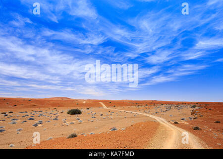 Road, palmwag concession, damaraland, Namibie, région de Kunene Banque D'Images
