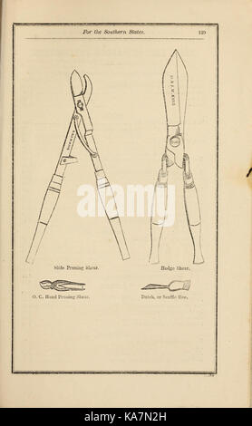 Richard Frotscher's almanac et jardin manuel pour les états du sud (16721918369) Banque D'Images