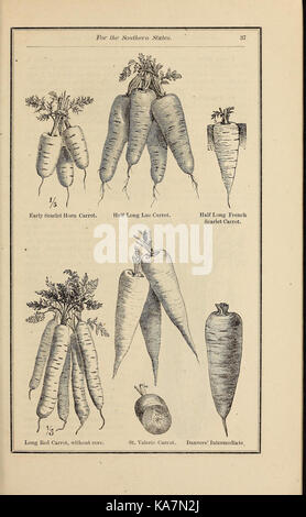 Richard Frotscher's almanac et jardin manuel pour les états du sud (16907086401) Banque D'Images