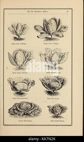 Richard Frotscher's almanac et jardin manuel pour les états du sud (16721911819) Banque D'Images