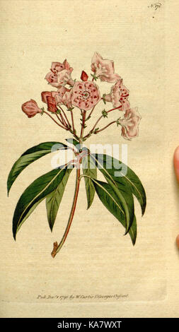 Le Jardin botanique d'un magazine ou d'un jardin de fleurs, affiché (175) de la plaque (8559492821) Banque D'Images