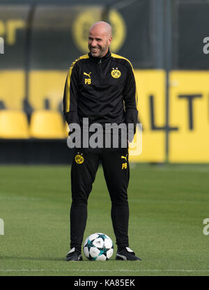 Dortmund, Allemagne. 25 septembre, 2017. Borussia Dortmund entraîneur en chef Peter Bosz rit pendant une session de formation à Dortmund, en Allemagne, le 25 septembre 2017. Borussia Dortmund joue contre le real madrid en ligue des champions phase de groupes match le 26 septembre 2017. crédit : Bernd thissen/dpa/Alamy live news Banque D'Images