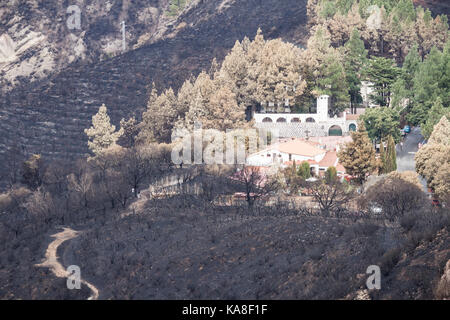 Gran Canaria, îles Canaries, Espagne, le 25 septembre, 2017. Les routes de montagne rouvrir 5 jours après l'énorme feu de forêt fait rage au moyen de 2 800 hectares de forêts de pins. Une femme de 60 ans est mort dans l'incendie qu'elle essayait de rassembler le bétail près de sa petite ferme de montagne. Des centaines de personnes part faire partir des villages de montagne. crédit : Alan dawson/Alamy live news Banque D'Images