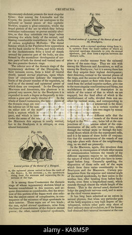 La 'Cyclopédie de l'anatomie et de la physiologie' est un ouvrage de référence médical complet qui couvre la structure et la fonction du corps humain. La page 757 se concentre sur un examen détaillé de systèmes anatomiques spécifiques et de leurs rôles physiologiques dans la fonction globale du corps. Banque D'Images