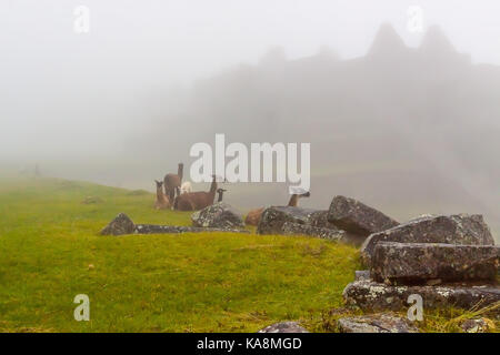 Le Machu Picchu, la ville perdue des Incas", le Pérou. Banque D'Images