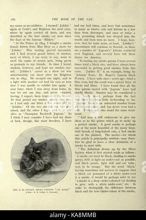 'Le Livre du chat' est un guide détaillé et historique des chats, présentant diverses races, comportements et signification culturelle. Il offre un regard approfondi sur le rôle des chats dans la société humaine et leur histoire naturelle. Banque D'Images