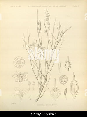 Rapport sur les enquêtes géographiques des États-Unis à l'ouest de la plaque d'un centième méridien (I) BHL30817610 Banque D'Images