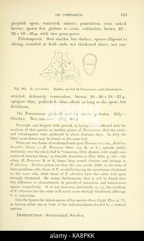 Les Britanniques rouilles (Uredinales) (page 153) BHL2990887 Banque D'Images