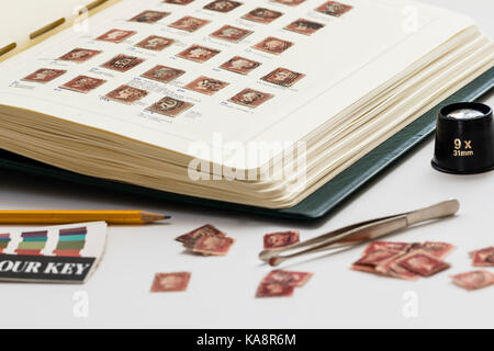 L'Angleterre. Victoria penny red stamps avec annotations dans l'album de timbres et certains timbres perdre avec des pincettes. La philatélie hobby. La philatélie. Banque D'Images