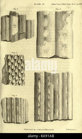 L'Edinburgh new philosophical journal BHL2471565 Banque D'Images