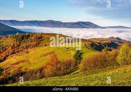 Superbe matinée en zone rurale de montagne en automne. clôture en bois le long de l'herbe des collines avec meules de foin dans la vallée de l'automne avec de gros ris Banque D'Images