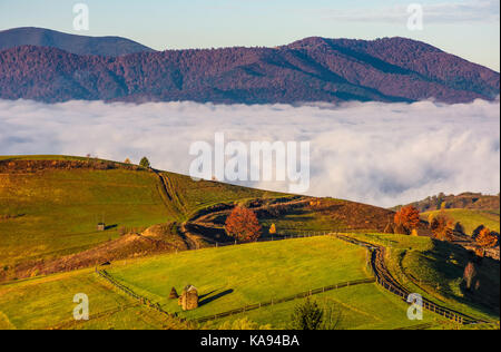 Superbe matinée en zone rurale de montagne en automne. clôture en bois le long de l'herbe des collines avec meules de foin dans la vallée de l'automne avec de gros ris Banque D'Images