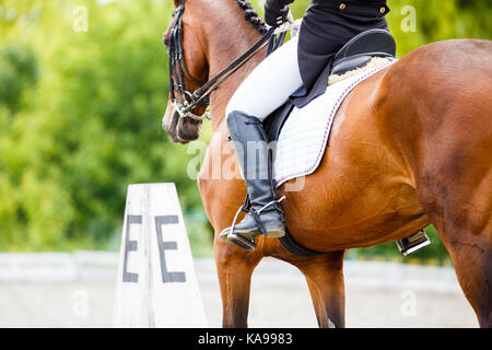 Close up image de cheval avec cavalier de dressage au concours sports équestres. Détails de l'équipement équestre Banque D'Images