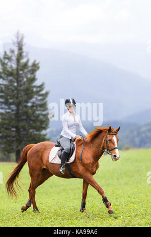 Young woman riding horse sorrel sur green mountain meadow equestrian contexte de l'activité. Banque D'Images