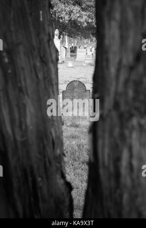 RAHWAY, NEW JERSEY - le 28 avril 2017 : Une vieille pierre tombale est visible entre les arbres au cimetière Rahway Banque D'Images