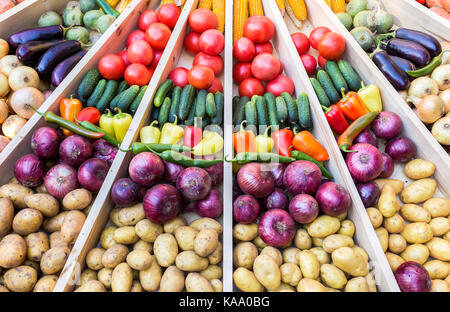 L'agriculture récoltés divers légumes frais colorés. le jour d'action de grâce. L'automne Banque D'Images