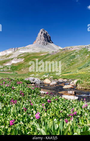 Le bouton pilote (13 738 pi), Creek et de fleurs sauvages, de la glace, du bassin du lac San Juan National Forest, Colorado USA Banque D'Images