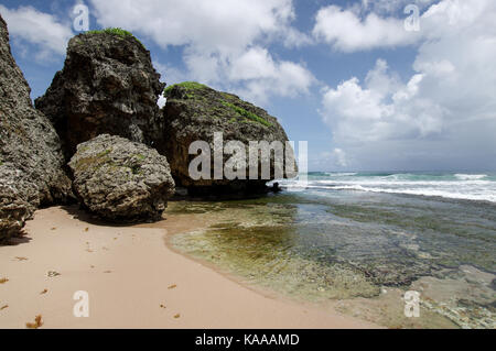 Des rochers géants et de formations rocheuses près de Bathsheba, côte est de la Barbade Banque D'Images