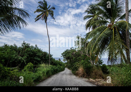 Chemin rural sur la côte est de la Barbade Banque D'Images