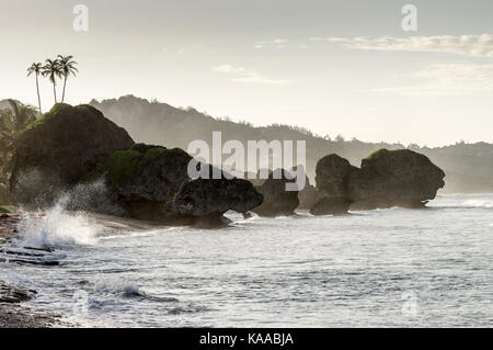 Les vagues se briser contre les rives rocheuses sur plage de Bathsheba, également connu sous le nom de "soupe Bowl' - côte est de la Barbade Banque D'Images