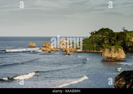 Vue sur la côte rocheuse entourant la célèbre et Bathsheba mushroom rock sur la côte est de la Barbade Banque D'Images