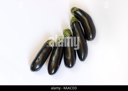 Aubergines ou aubergines en fond blanc Banque D'Images