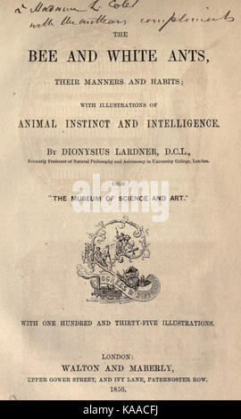 L'abeille et de fourmis blanches, leurs manières et habitudes BHL23241721 Banque D'Images