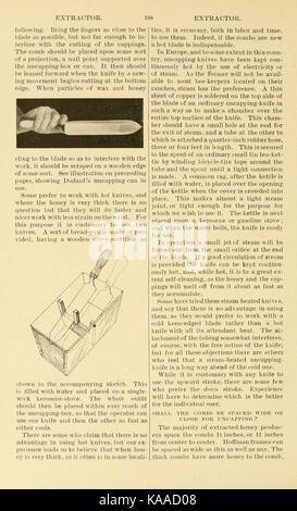 L'ABC et XYZ de la culture de l'abeille (page 188) BHL9454474 Banque D'Images