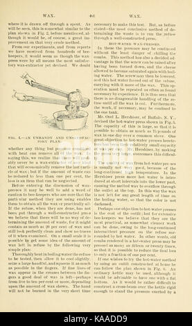 L'ABC et XYZ de la culture de l'abeille (page 461) BHL9454747 Banque D'Images