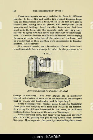 La page 68 du Guide du gardien des abeilles fournit des conseils sur la gestion des ruches, l’entretien des ruches et les pratiques en matière de santé des abeilles. Banque D'Images