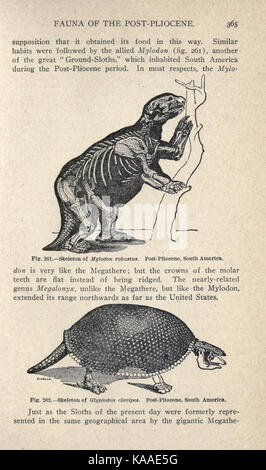 La vie ancienne histoire de la terre (page 365) BHL43381761 Banque D'Images