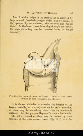 Chevaux (laryngismus en rugissant paralyticus) (page 153) BHL23567414 Banque D'Images