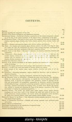 L'anatomie et la physiologie du cheval BHL19829869 Banque D'Images