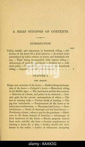 La cavalière américaine BHL21078763 Banque D'Images