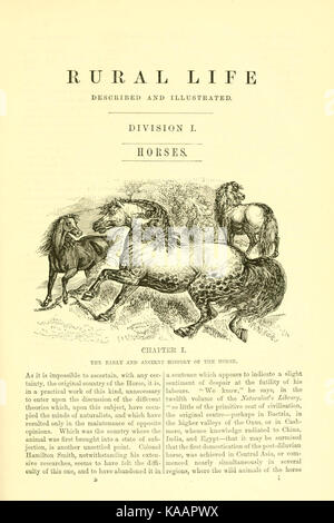 La vie rurale décrits et illustrés, dans la gestion des chevaux, chiens, bovins, moutons, porcs, volailles, etc. etc BHL20715205 Banque D'Images