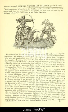 La vie rurale décrits et illustrés, dans la gestion des chevaux, chiens, bovins, moutons, porcs, volailles, etc. etc BHL20715215 Banque D'Images