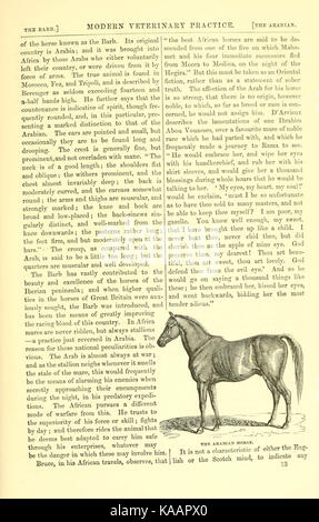 La vie rurale décrits et illustrés, dans la gestion des chevaux, chiens, bovins, moutons, porcs, volailles, etc. etc BHL20715217 Banque D'Images