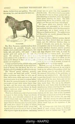 La vie rurale décrits et illustrés, dans la gestion des chevaux, chiens, bovins, moutons, porcs, volailles, etc. etc BHL20715282 Banque D'Images