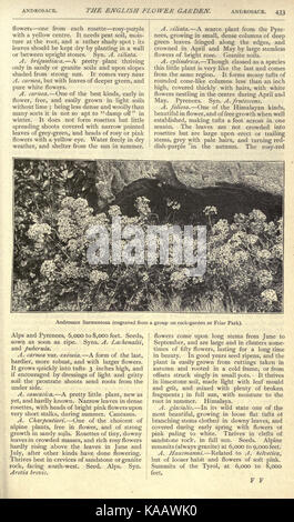 L'anglais jardin fleuri et motifs d'accueil (page 433) BHL20205292 Banque D'Images