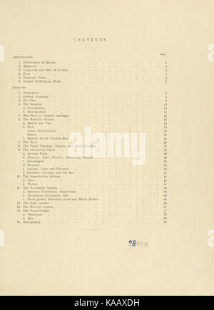 Cette illustration tirée de *L'anatomie du calmar commun* montre la structure détaillée de Loligo pealii, une espèce de calmar étudiée par Lesueur, en soulignant ses caractéristiques biologiques et anatomiques. Banque D'Images