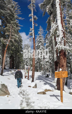 Les randonneurs s'empreintes dans la neige dans le bassin des lacs mammoth Mammoth Lakes dans l'est de la sierra en Californie Banque D'Images