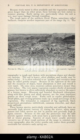 Les Grandes Plaines du nord plage de moutons pour la production élevée soutenue (page 8) BHL41748901 Banque D'Images